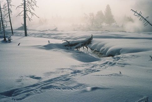 'Written in the snow' photo by Alexandria "Rain" 2007