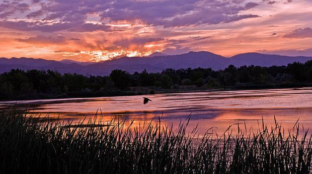 http://fineartamerica.com/featured/walden-ponds-sunset-brian-kerls.html